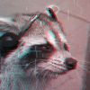 therebelraccoon