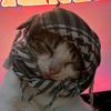 momenmohamed3456