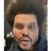 disregardpapa