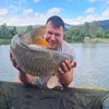 bogdan41