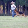 gsdmichelle
