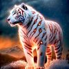 user22366986103ibrahim