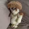 zedleppelinoo