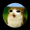 meowolr_