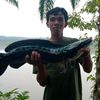 bambang99620