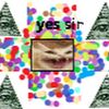 nop_dob