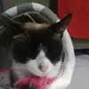 eliagabriely7