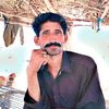 shah.ali.bloch5