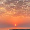 edem_1108