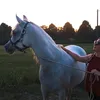 jazaraarabianprincess