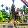truongngocquoc