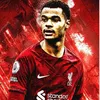 .liverpool.ynwa