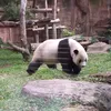 cilbocilchill