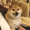 heheszkovy