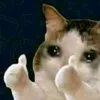buihagiabao