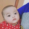 savana2609