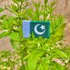 qasimqasim861