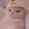 kongphan03