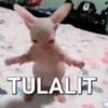 ardiansah_al