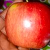djenethiam1