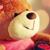 beartiny3