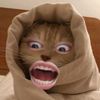 petrizzku._