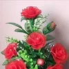 rjjibon001