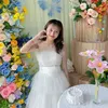 ly150803