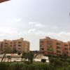 fareida08
