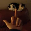 willissexy12345