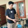 zaid03_am