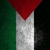 laghouatiwalid3