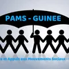 o.n.g.pamsguinee