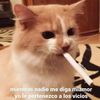 watuwatchin7