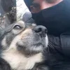marius_mruvlog