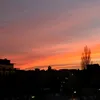 katesi77