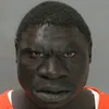 amoguscum