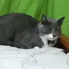 mi.nameisramiroxd