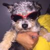 2_turnt_chris