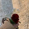 mariamgamal886