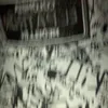 senazz83