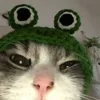 tran_nhathao
