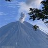 tirtoagung313