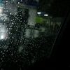flyandfree_