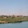 alshamare234