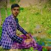 nooralikhan7861