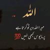 mansoorrazajutt2