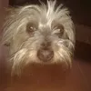 luisellacorrias90