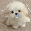 thien_kim225