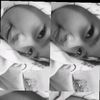 my_grils_wawa
